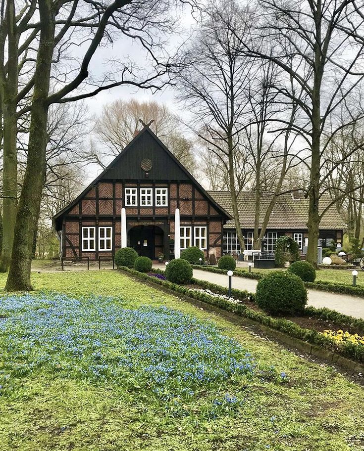 an old house in the middle of a park with blue flowers growing out of it