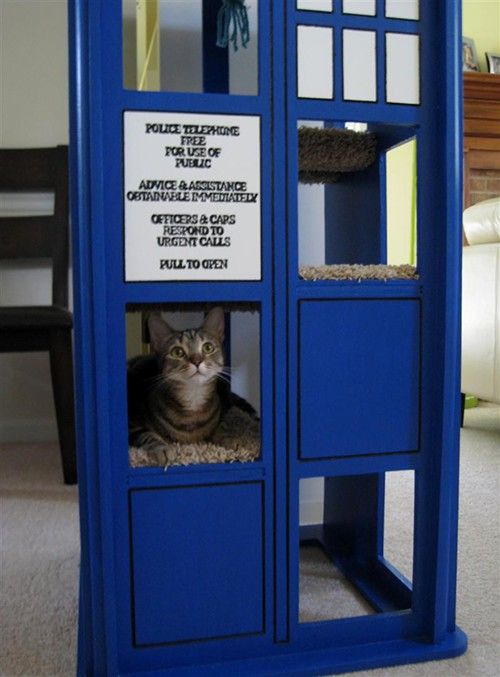 there is a cat sitting in a blue police box that's built into the floor