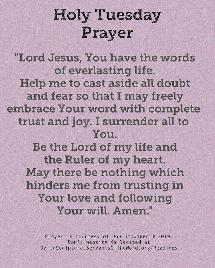 Amen 🙏 Easter Prayer, Week Blessings, I Surrender All, Lent Prayers, Tuesday Blessings, Easter Prayers, Good Morning Happy Sunday, Christian Girl, Holiday Quotes