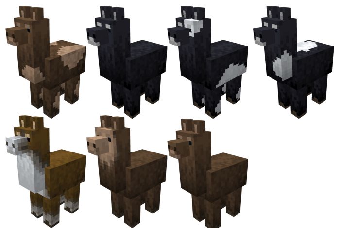 six different types of llamas are shown in minecraft style, including one that looks like an alpaca