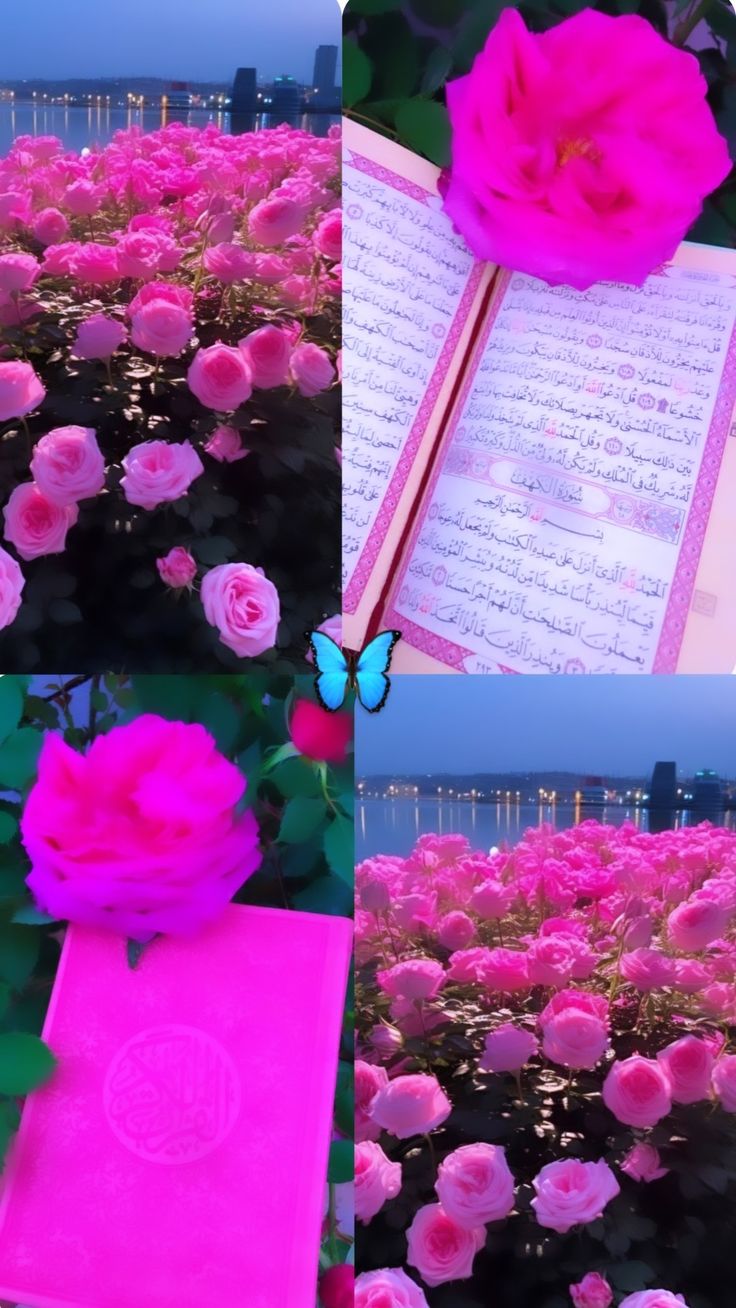 pink flowers and an open book with writing on them in different stages of blooming