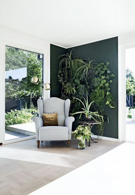 a living room filled with lots of plants and a white chair in front of a green wall