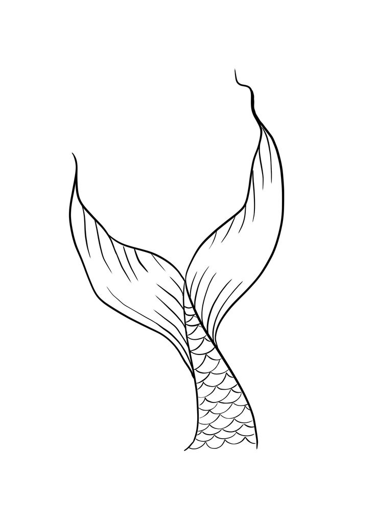 a black and white drawing of a mermaid tail