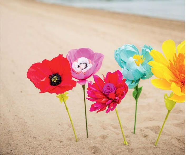 four colorful flowers are in the sand at the beach