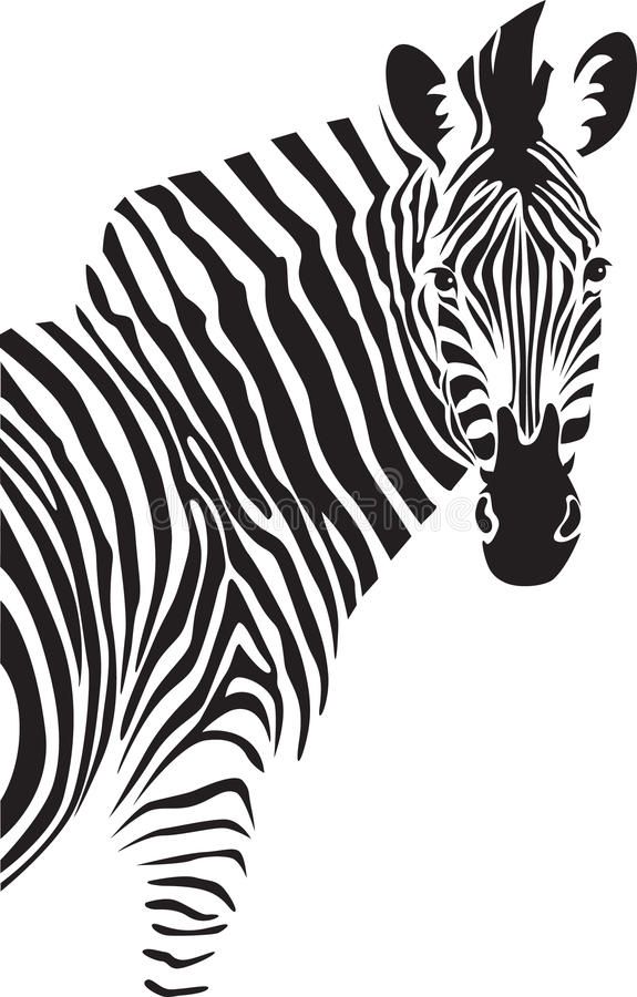 a zebra is standing in the grass