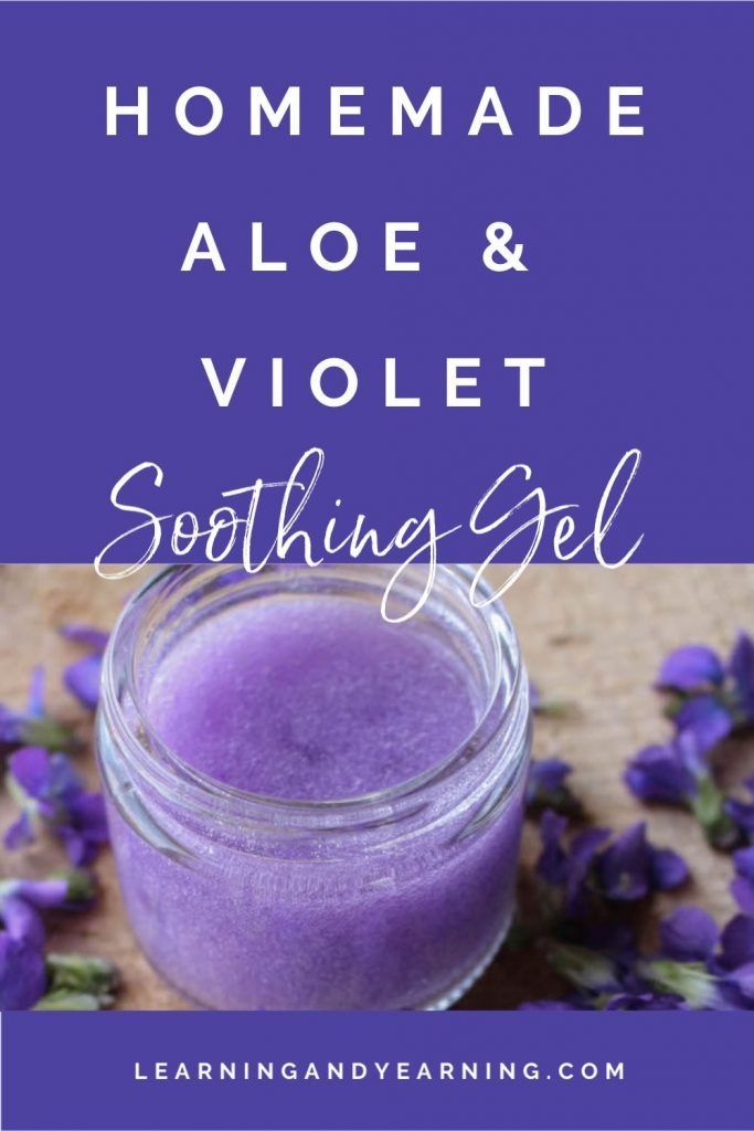 Violet-Infused Aloe Soothing Gel Healing Salve Recipe, Wild Violets, Herbal Remedies Recipes, Salve Recipes, Herbal Salves, Ginger Water, Skincare Natural, Homemade Lotion, Soothing Gel