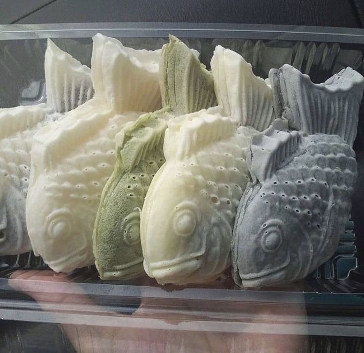 there are many different types of fish in the case together, and one is holding it up