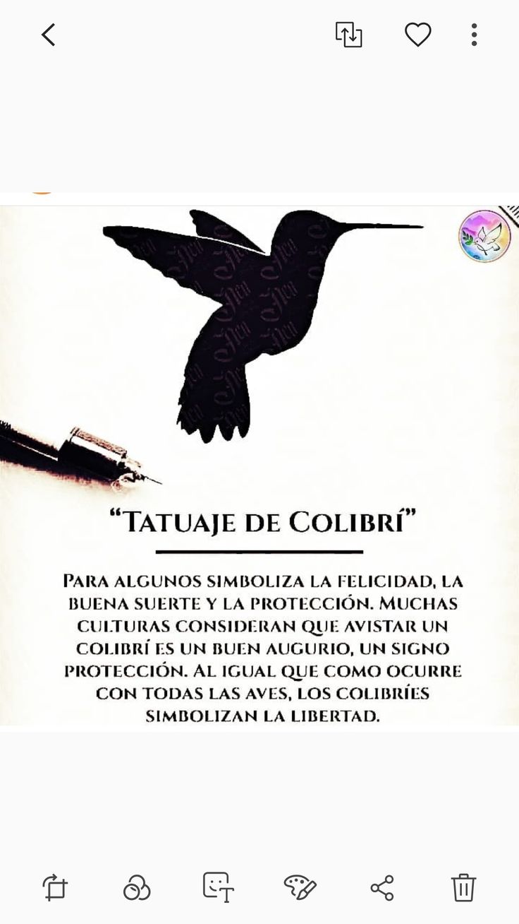 an advertisement for a fountain pen with a hummingbird on it's back side