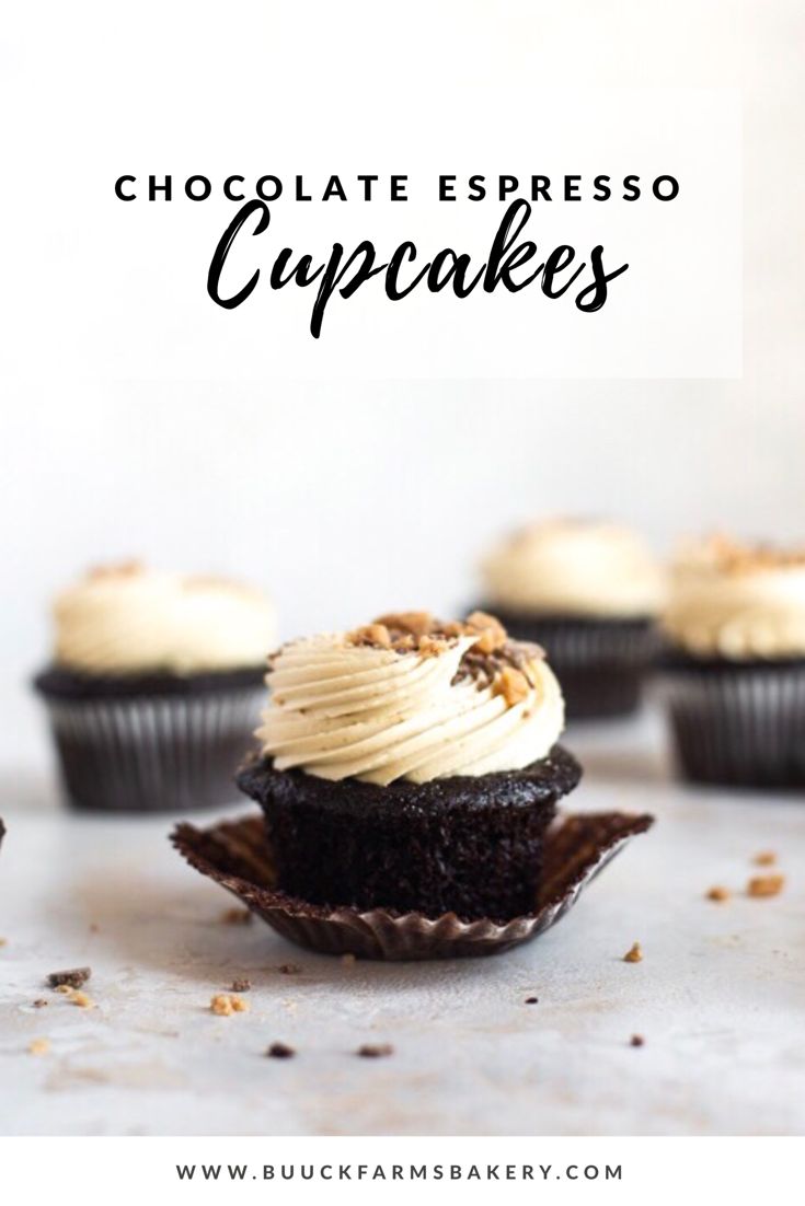 chocolate espresso cupcakes with whipped cream frosting