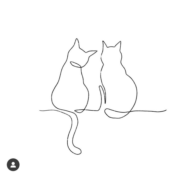 two cats sitting next to each other on top of a white background with the word love written