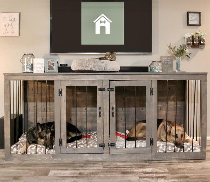 two dogs laying in their kennels under a flat screen tv