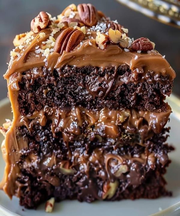 a piece of chocolate cake with pecans and nuts on top is sitting on a plate