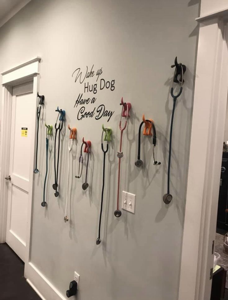 there are many different leashes hanging on the wall