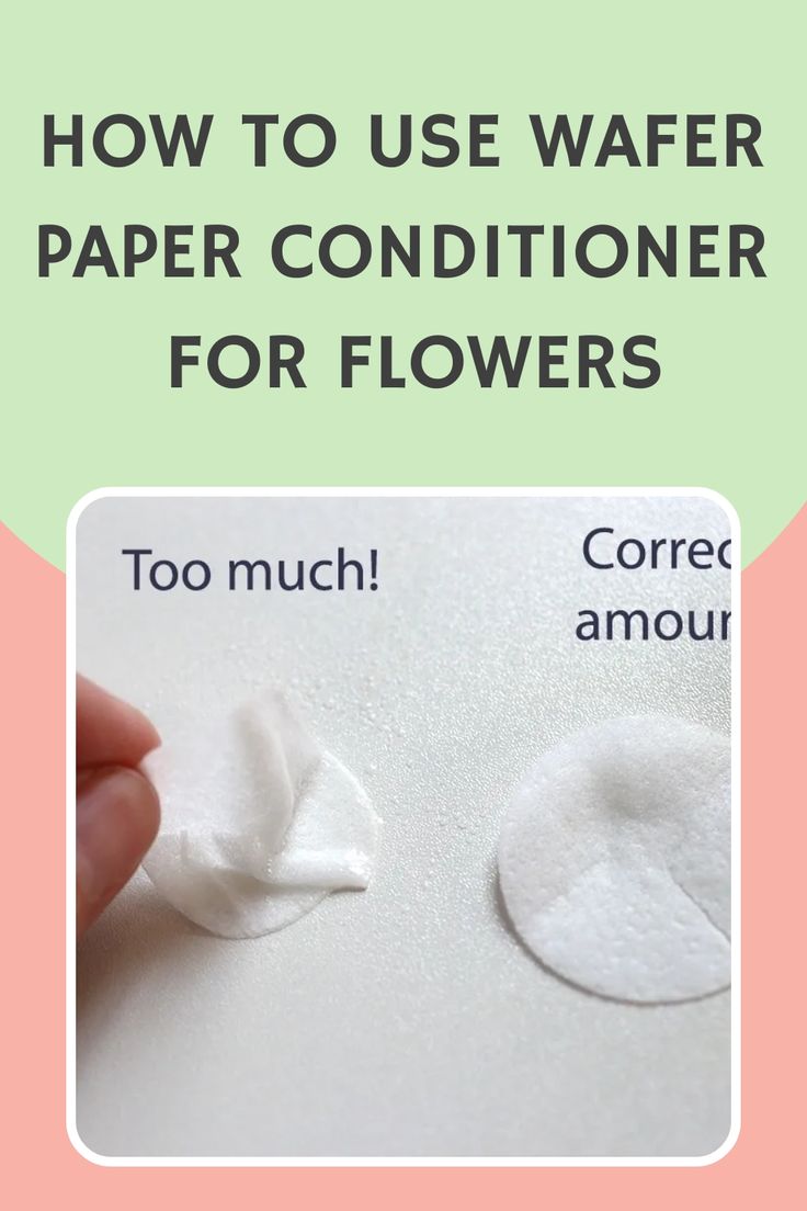 how to use wafer paper conditioner for flowers Fun Cake Decorating, Wafer Flowers, Wafer Paper Flowers, Gumpaste Flowers, Flowers Cake, Easy Cake Decorating, Paper Creations, Wafer Paper, Tasting Menu