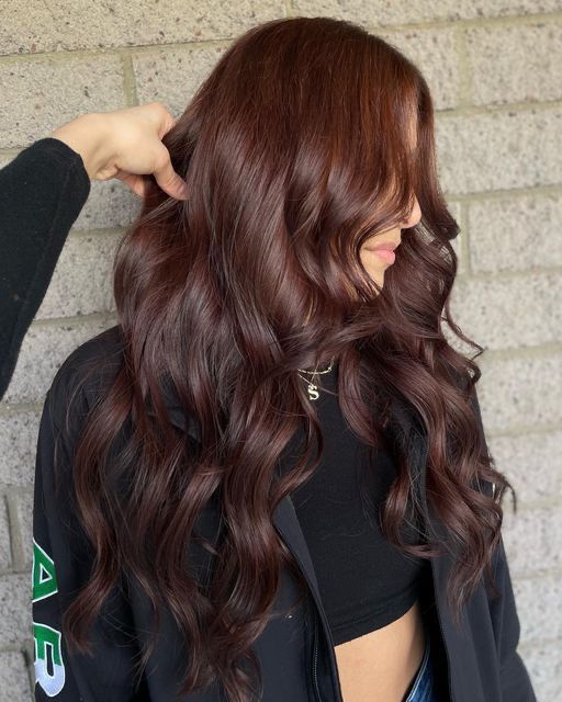 Dark Lavender Hair Brunettes, Brown W Red Undertones, Deep Red Brunette Hair, Raspberry Chocolate Hair Color, Dark Brown Copper Hair Color Balayage, Dark Copper Brown Balayage, Rich Brown Copper Hair, Dark Auburn Hair Color With Money Piece, Deep Brown Hair Color Dark Auburn