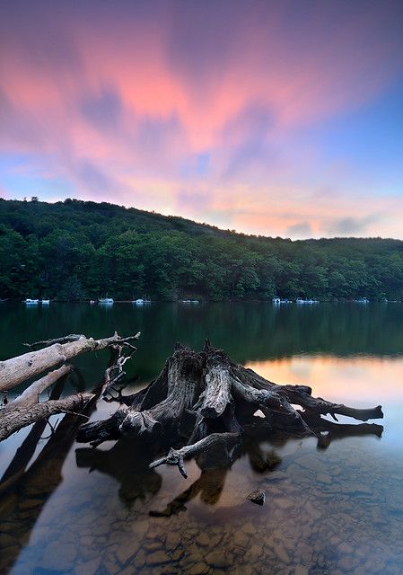 a tree stump sitting in the middle of a body of water under a colorful sky