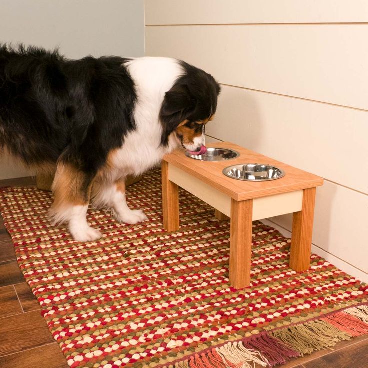 a black and white dog eating food out of a bowl