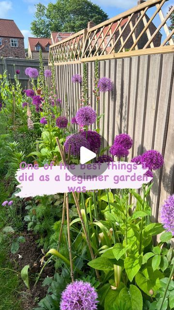 a garden with purple flowers in the middle and a sign that says, did as a beginner gardener?