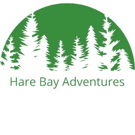 About | Hare Bay Adventures Newfoundland Travel, Row Boat, Trout Fishing, Boat Tours, Newfoundland, Small Group, Campfire, Fly Fishing, Glamping