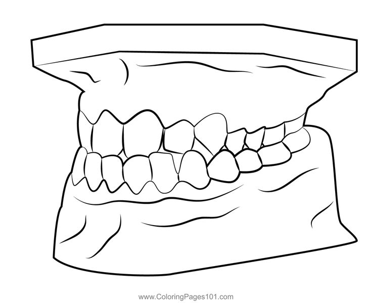 Teeth Jaw 3d Model Coloring Page Health Coloring Pages, Free Kids, Printable Coloring, Printable Coloring Pages, Coloring Pages For Kids, Coloring Page, Free Printable, Coloring Pages, For Kids