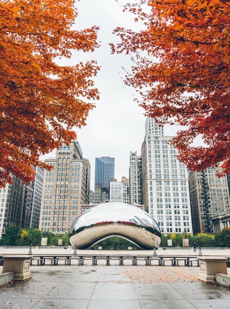 an instagram page with buildings in the background and trees on either side that have red leaves