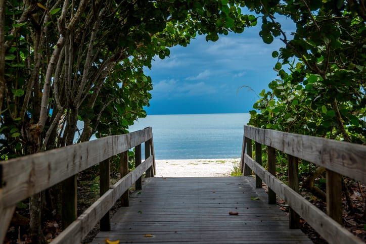 a wooden walkway leading to the beach with trees on either side and water in the distance