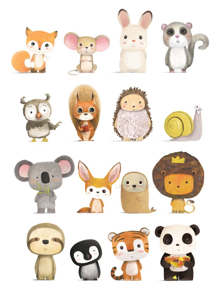 a bunch of different types of stuffed animals