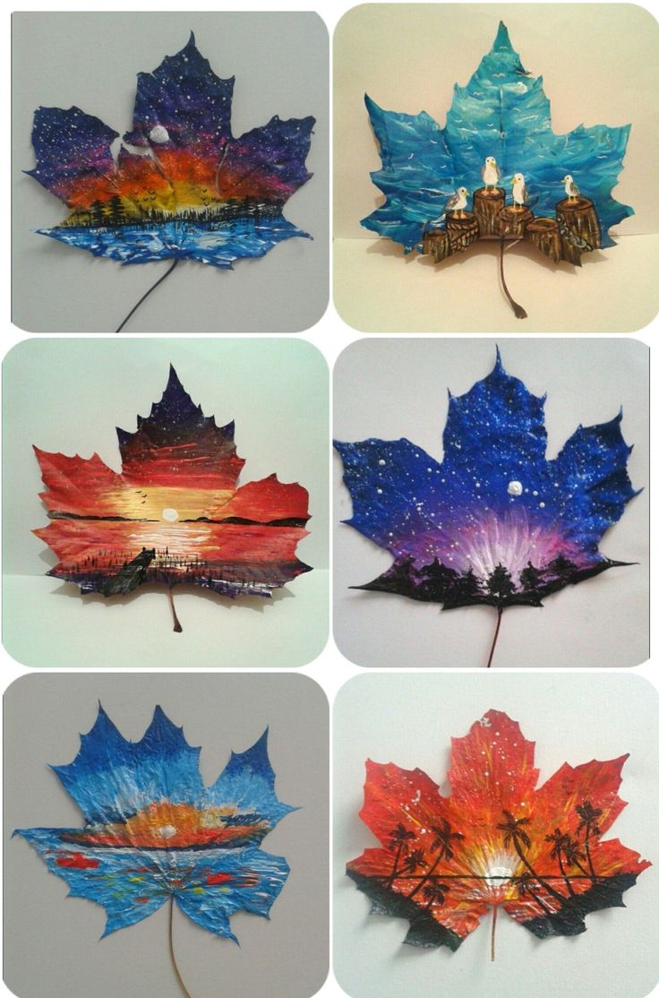 four pictures of different colored leaves with the same color and shape on them, each one is