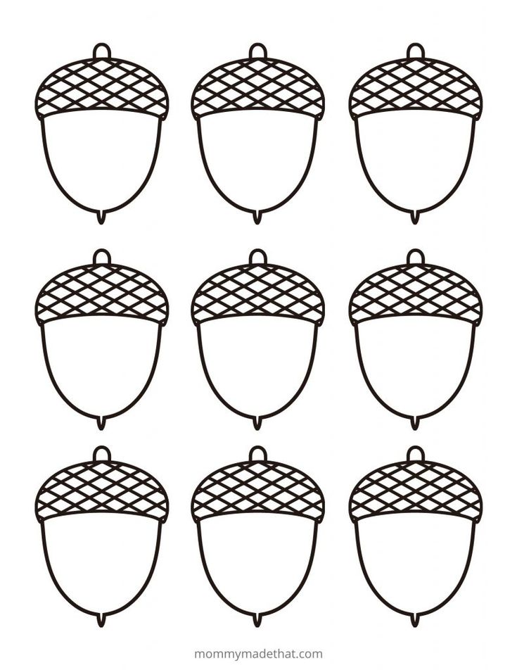 twelve acorns are shown in black and white