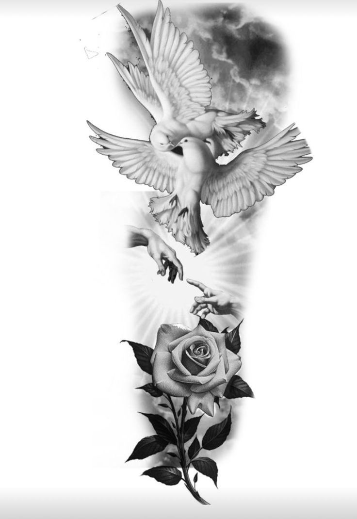 a black and white photo of a bird flying over a rose