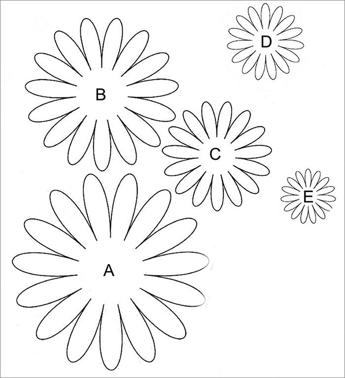 four flowers are shown with the letters b and c