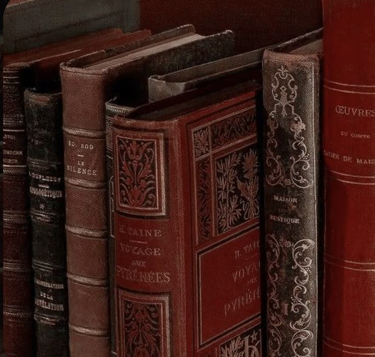 a row of books sitting on top of a shelf