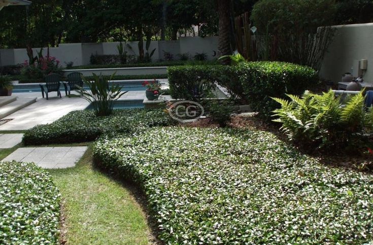 a garden with hedges and lawn furniture in the back yard, next to a swimming pool