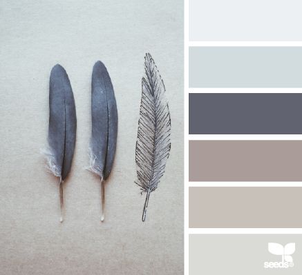 three feathers with different shades of gray and brown on them, one is white the other is grey