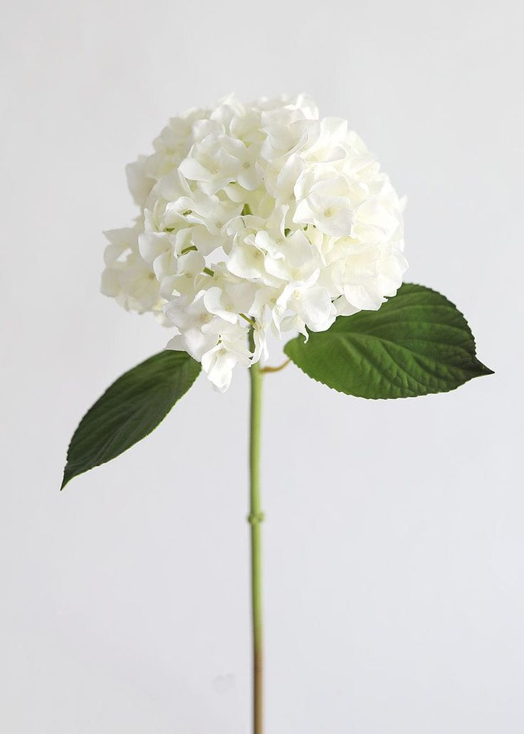 Faux White Flowers in Real Touch Hydrangea Stem Flowers By Month, Fake Hydrangeas, Hydrangea Arrangements, Flowers And Fruit, Faux Hydrangea, Organic Home, Artificial Hydrangeas, Paint Flowers, Organic Nature