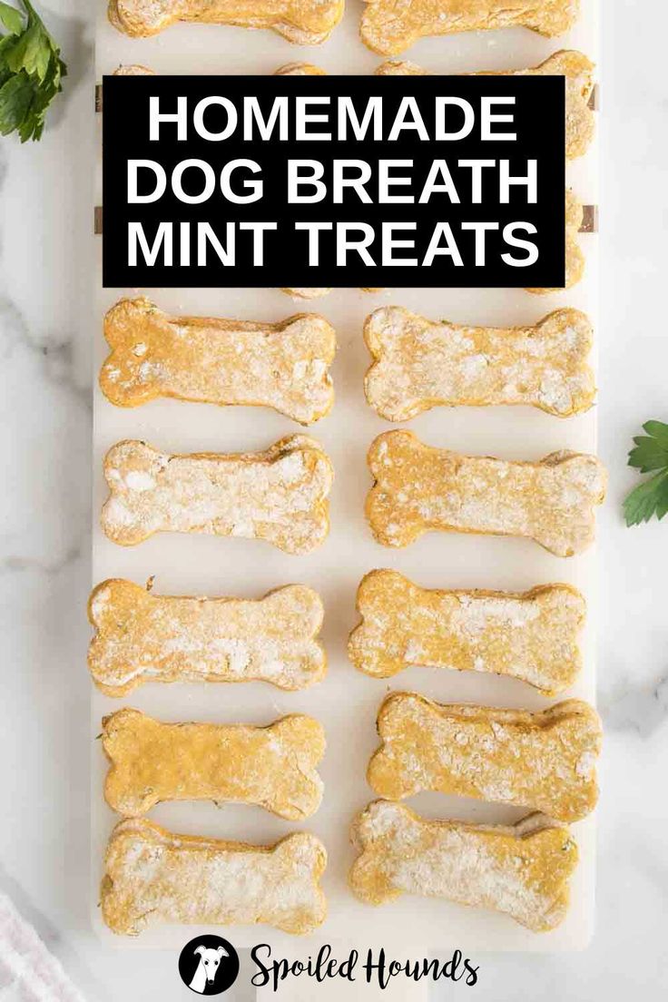 homemade dog breath mint treats on a cutting board with the title above it that reads homemade dog breath mint treats