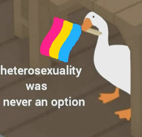 there is a duck that has an object in it's beak and the words, hetroseexuality was never an option