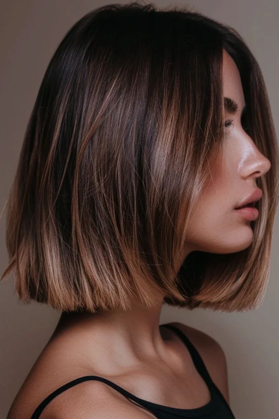 Bob Hairstyles With Balayage, Brunette A Line Bob, Single Length Bob, Brunette Bob Side Part, Brunette Hair Long Bob, Italian Bob Straight Hair, Chestnut Bob Hair, Short Hair Short Neck, Shatter Bob Haircut