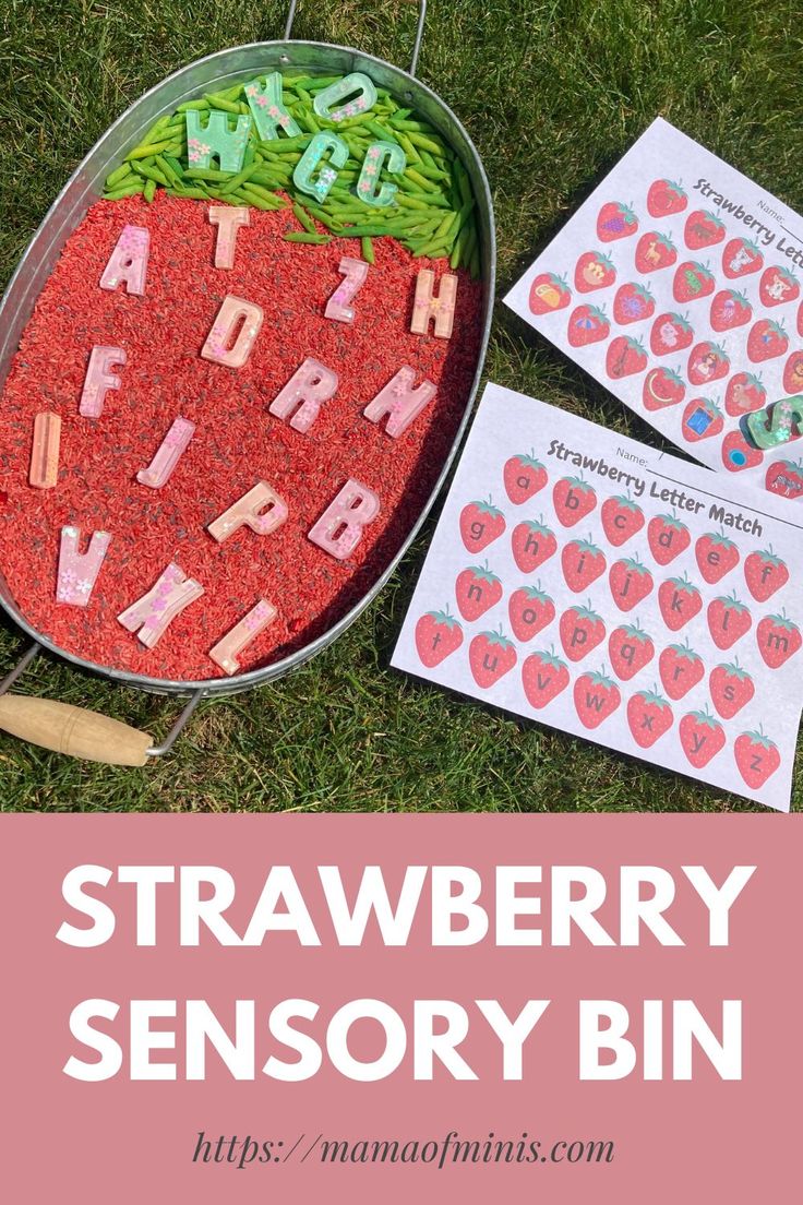 Strawberry Sensory Bin Strawberry Activities For Toddlers, S Is For Strawberry Craft Preschool, Strawberry Preschool Activities, Strawberries Preschool Activities, Strawberry Activities For Kids, Strawberry Birthday Activities, Strawberry Learning Activities, Learning For Toddlers, Strawberry Social