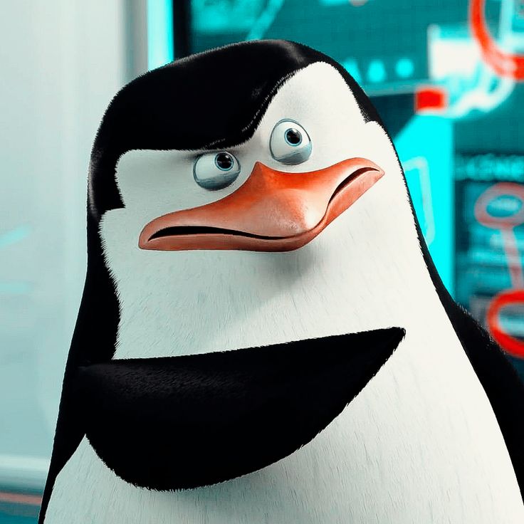 a cartoon penguin with big eyes standing in front of a computer screen and looking at the camera