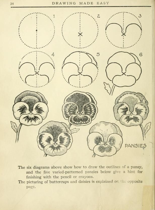 the diagram shows how to draw flowers in four different ways, including petals and leaves