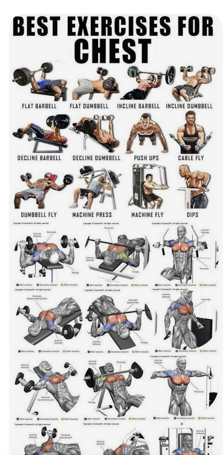 the best exercises for chest workouts and how to use them in your home gym