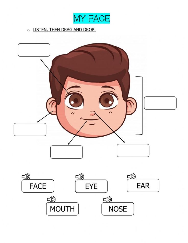 an info sheet showing the parts of a man's face, including his nose and mouth