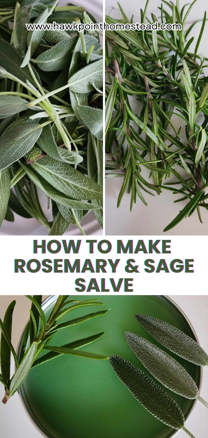 how to make rosemary and sage salve in the kitchen or on the stovetop