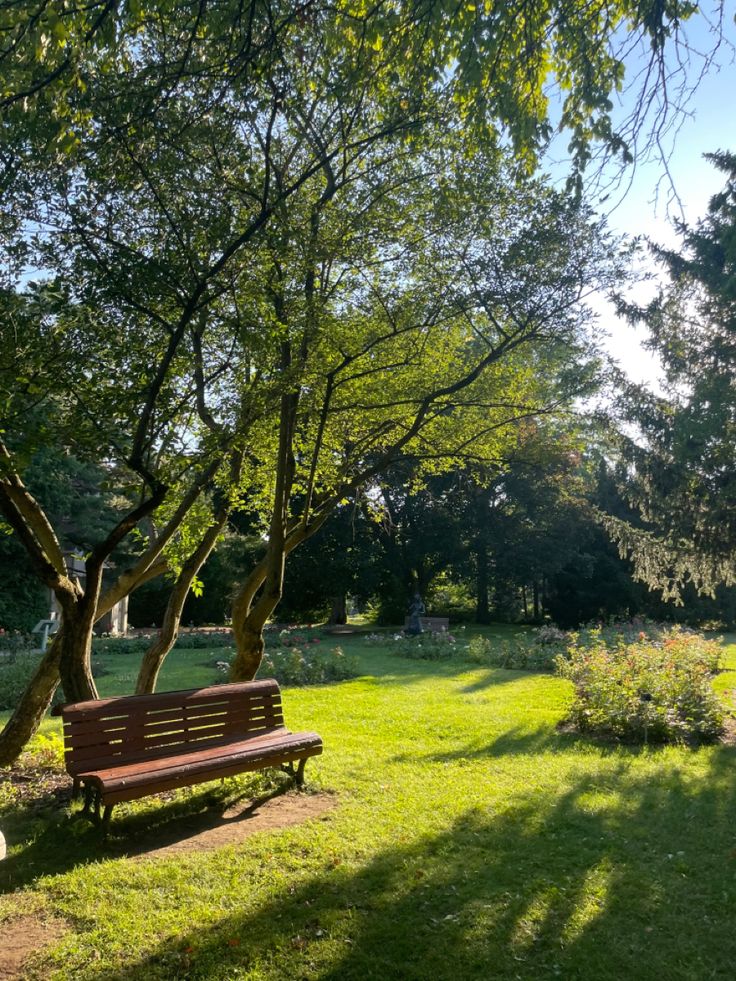 Autumn summer leaves trees bench aesthetic 2022 2023 green cute peaceful under the tree pretty parc Park Bench Aesthetic, Park Aesthetic, Royal Elite, Golden Tree, Atonement, Gods Creation, Find Peace, Green Nature, Meaning Of Life