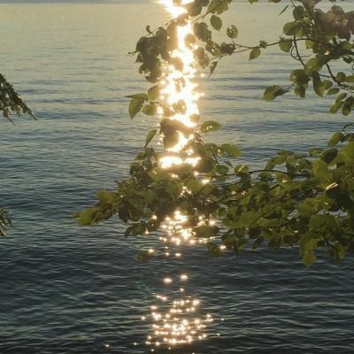 the sun shines brightly through some trees over the water in front of a body of water