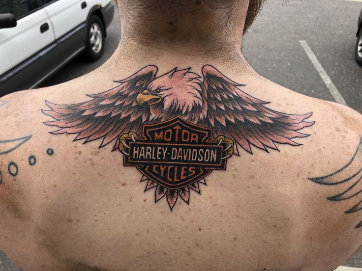 a man with an eagle tattoo on his back and the words harley davidson cycles written below it