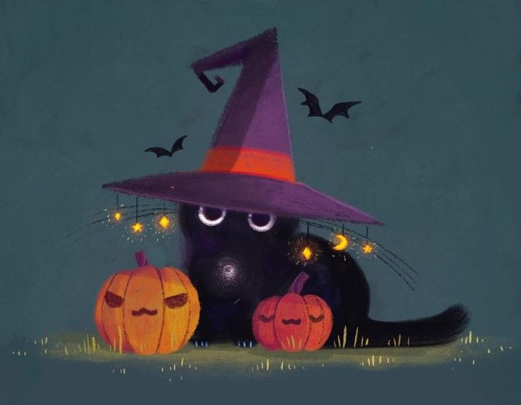 a black cat wearing a witches hat and two pumpkins