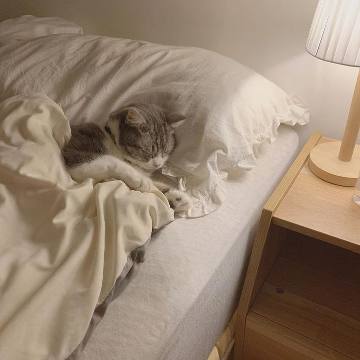 a cat laying on top of a white bed next to a night stand and lamp