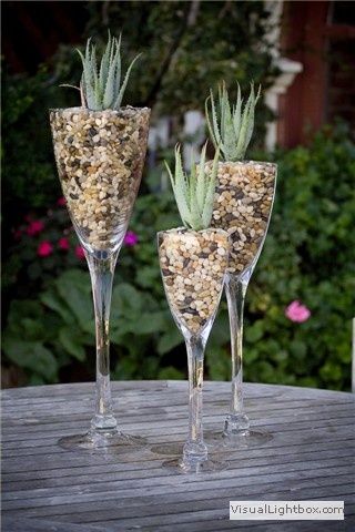 three wine glasses with plants in them sitting on a table